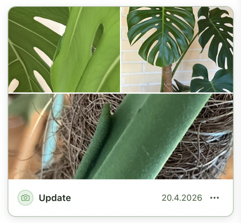 Kasvia update event showing multiple photos for a repotting.